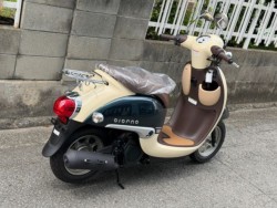 �z���_�W�����m�i���Q�����R�s�j�摜8