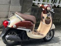 �z���_�W�����m�i���Q�����R�s�j�摜8