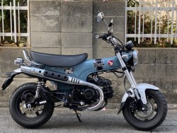 �z���_�_�b�N�X125�i���Q�����R�s�j�摜1