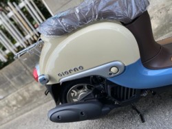 �z���_�W�����m�i���Q�����R�s�j�摜9