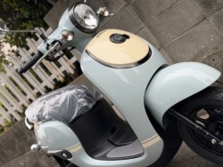 �z���_�W�����m�i���Q�����R�s�j�摜9