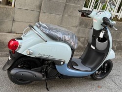 �z���_�W�����m�i���Q�����R�s�j�摜9