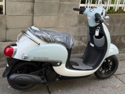�z���_�W�����m�i���Q�����R�s�j�摜9