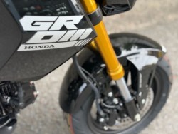 �z���_�O�����i���Q�����R�s�j�摜10