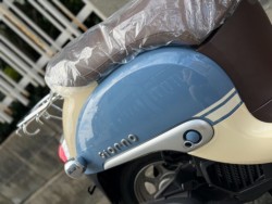 �z���_�W�����m�i���Q�����R�s�j�摜9