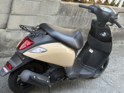 �X�Y�L���b�c�i���Q�����R�s�j�摜9
