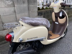 �z���_�W�����m�i���Q�����R�s�j�摜10