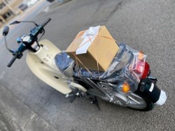 �z���_Super Cub 110 Lite�i���Q�����R�s�j�摜10