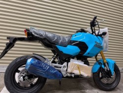 �z���_�O�����i���Q�����R�s�j�摜4
