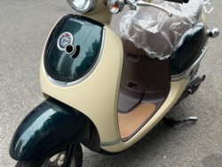 �z���_�W�����m�i���Q�����R�s�j�摜10