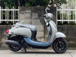 �z���_&nbsp;�W�����m 