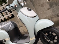 �z���_�W�����m�i���Q�����R�s�j�摜10