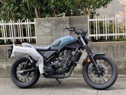 �z���_CL250�i���Q�����R�s�j�摜2