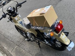 �z���_�N���X�J�u110�i���Q�����R�s�j�摜11