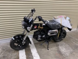 �z���_�_�b�N�X125�i���Q�����R�s�j�摜11