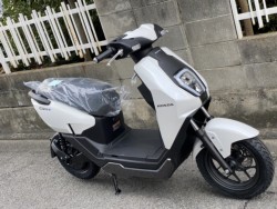 �z���_ICON e:�i���Q�����R�s�j�摜3