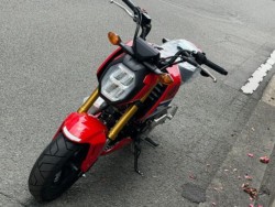 �z���_�O�����i���Q�����R�s�j�摜11