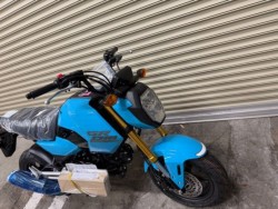 �z���_�O�����i���Q�����R�s�j�摜5