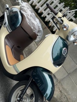 �z���_�W�����m�i���Q�����R�s�j�摜11