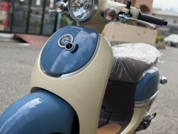 �z���_�W�����m�i���Q�����R�s�j�摜11