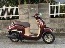 �z���_�W�����m�i���Q�����R�s�j�摜2