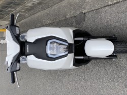 �z���_ICON e:�i���Q�����R�s�j�摜4
