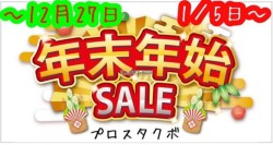 z_fBIiQRsj摜6