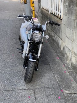 �z���_�_�b�N�X125�i���Q�����R�s�j�摜4