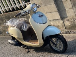 �z���_�W�����m�i���Q�����R�s�j�摜3