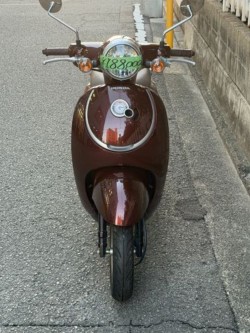 �z���_�W�����m�i���Q�����R�s�j�摜4