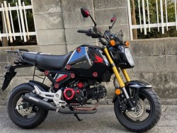 �z���_�O�����i���Q�����R�s�j�摜2