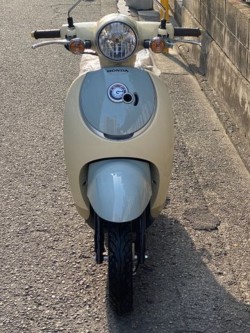 �z���_�W�����m�i���Q�����R�s�j�摜4