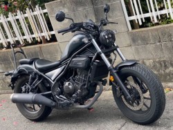 �z���_���u��250�i���Q�����R�s�j�摜3