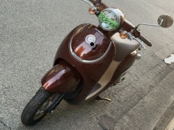 �z���_�W�����m�i���Q�����R�s�j�摜5