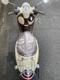 �z���_�W�����m�i���Q�����R�s�j�摜15