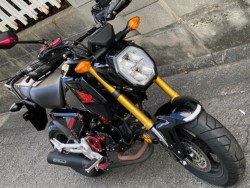 �z���_�O�����i���Q�����R�s�j�摜3