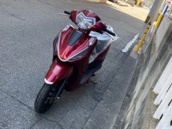 �z���_���[�h125�i���Q�����R�s�j�摜5