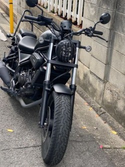 �z���_���u��250�i���Q�����R�s�j�摜4