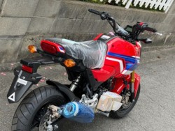 �z���_�O�����i���Q�����R�s�j�摜15