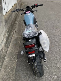 �z���_CL250�i���Q�����R�s�j�摜7