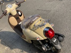 �z���_�W�����m�i���Q�����R�s�j�摜6