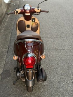 �z���_�W�����m�i���Q�����R�s�j�摜7