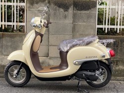 �z���_�W�����m�i���Q�����R�s�j�摜17