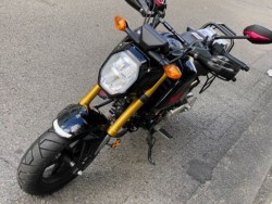 �z���_�O�����i���Q�����R�s�j�摜5