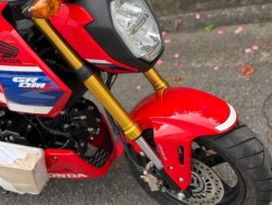 �z���_�O�����i���Q�����R�s�j�摜17