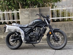 �z���_CL250�i���Q�����R�s�j�摜2