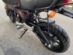 �z���_�O�����i���Q�����R�s�j�摜7