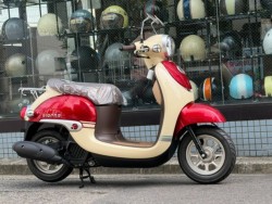 �z���_�W�����m�i���Q�����R�s�j�摜2