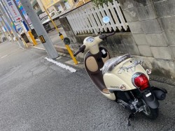 �z���_�W�����m�i���Q�����R�s�j�摜20