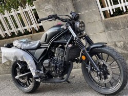 �z���_CL250�i���Q�����R�s�j�摜3